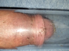 Ants bite cock